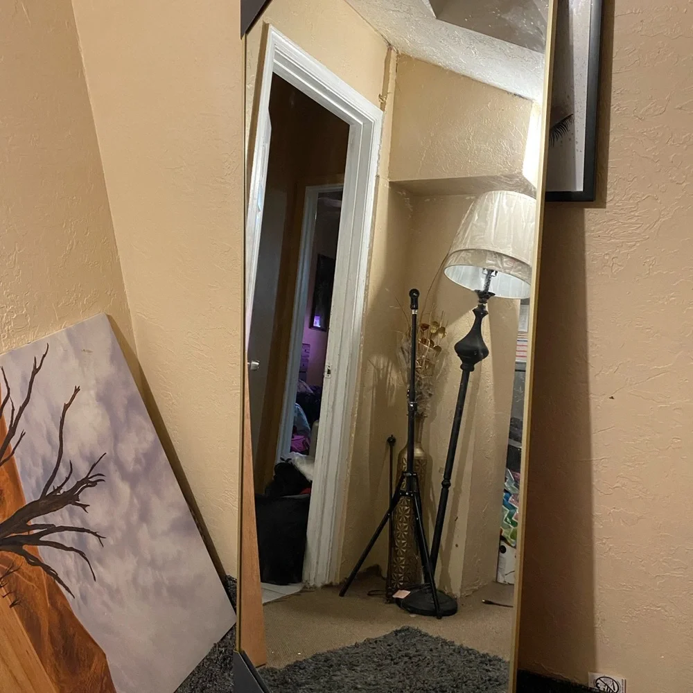 Elegant Gold Framed Wall Mirror